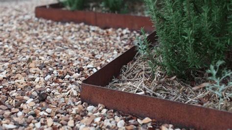 metal edging at tree boxes public areas|edge right metal garden edging.